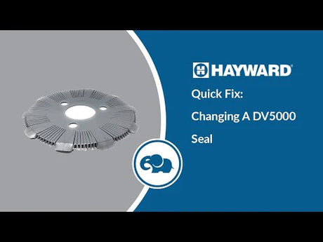 How To Replace Hayward DV5000 Seal