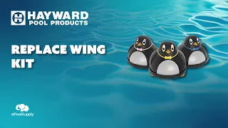 Hayward Penguin Wing Kit Overview!