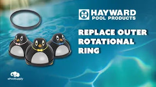 Hayward Penguin Outer Rotational Ring Overview!
