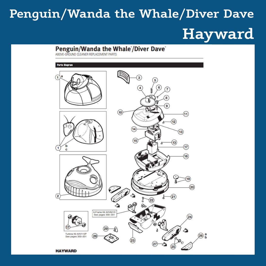 Parts Diagram for Penguin-Wanda-Diver Dave- Aqua