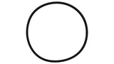 Paramount EDC Replacement O-ring | 005-152-2206-00