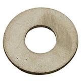 Pentair Washer 3/8in Stainless Steel | 154418