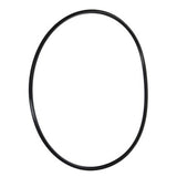 Pentair O-Ring Clear Black Replacement | 154493Z