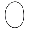 Pentair O-Ring Clear Black Replacement | 154493Z