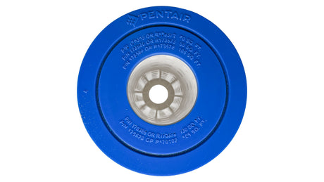 Pentair CNC Plus cartridge filter replacement, blue round end cap with central opening