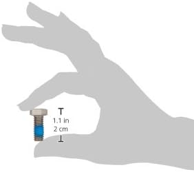 Super II motor cap screw, 1.1 in (2 cm) long