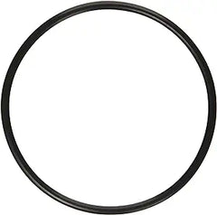 Pentair Sand Dollar Filter System O-Ring Valve Body