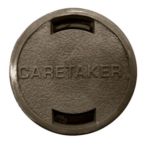Round Pebble Gold Caretaker 99 bayonet in-floor pool cleaning head with textured cover