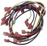 Pentair Wire Harness, Main (All Single Phase Models Prior to 12/2014) || 473423