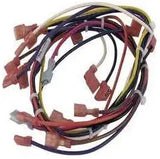 Pentair Wire Harness, Main (All Single Phase Models) || 475112