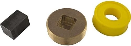 Pentair Bypass Access Plug (ASME) || 472648Z