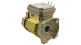 Pentair 1.5 HP, 3PH, 1SP, WFK-6 Replacement Motor || 354807S