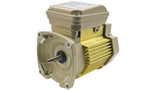 Pentair 1.5 HP, 3PH, 1SP, WFK-6 Replacement Motor || 354807S