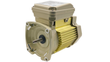 Pentair 1.5 HP, 3PH, 1SP, WFK-6 Replacement Motor || 354807S