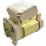Pentair 1.5HP Motor 1-Phase TEFC || 354823S