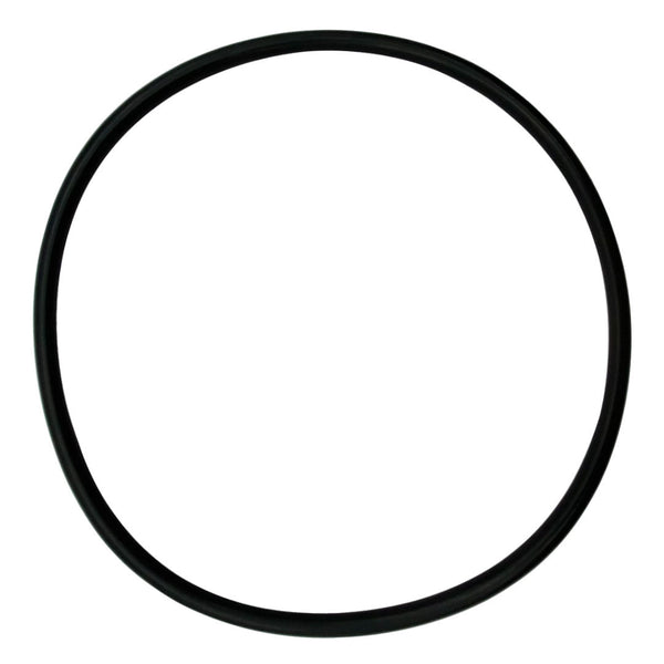IntelliFloXF/WhisperFloXF VSF/VS Pump Lid/Locking Ring O