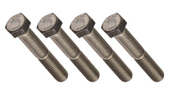 PENTAIR Hex Head Screw 3/8