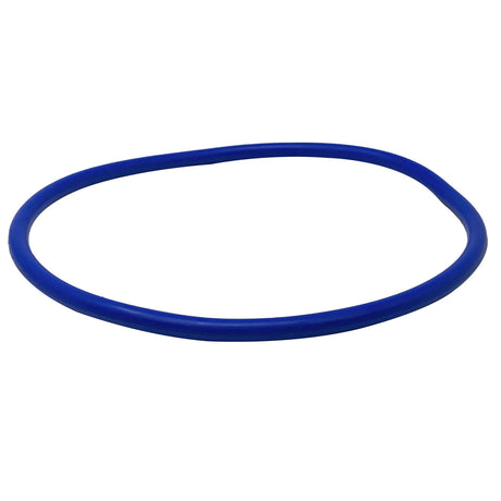 Blue round lid O-ring seal for Pentair 356189Z