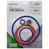 Pentair IntelliFlo3 Seal Kit || 357872