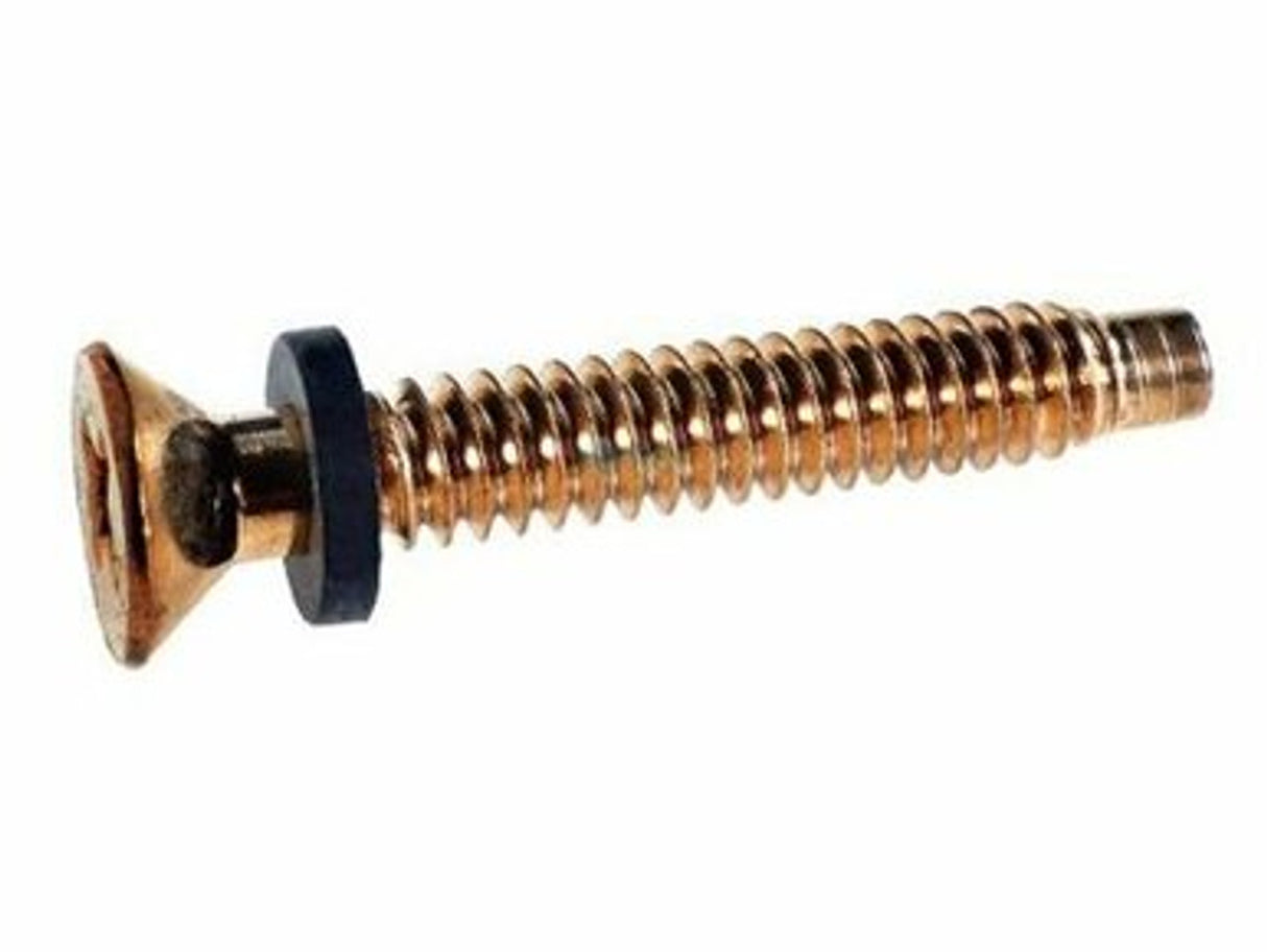 Pentair Pilot Screw, Brass || 79104800Z