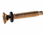 Pentair Pilot Screw, Brass || 79104800Z