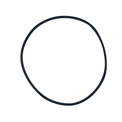 Pentair Clean and Clear Plus and FNS Tank O-Ring | 39010200Z
