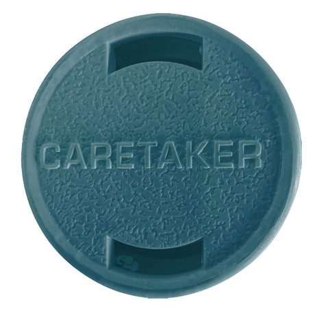 Tile blue Caretaker 99 high flow cleaning head with textured round face