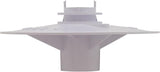 Pentair ASY Vacuum Plate | 506161
