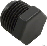 Pentair 1/2" MPT PVC Plug || R172134