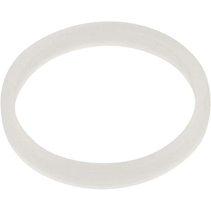 Pentair 1 in. O-Ring Spacer || 271073Z