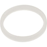 Pentair 1 in. O-Ring Spacer || 271073Z