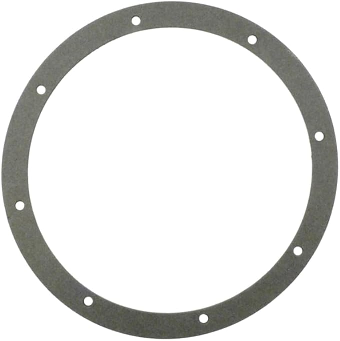 Pentair Gasket CN5LH Small Hole | 79202300