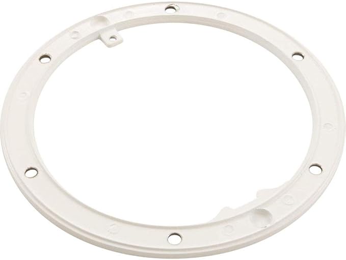 Pentair Small Stainless Steel Niche Sealing Ring, Small Niche || 79206055