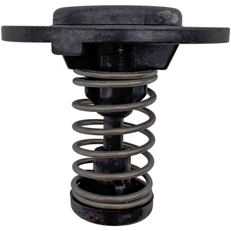 Black Pentair tube sheet coil assembly replacement part with spring and flange