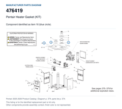Pentair Heater Gasket (KIT) | 476419