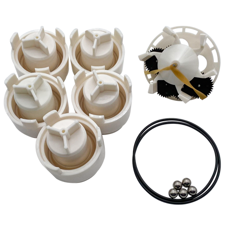 Caretaker Gould valve rebuilding kit with white valve components, gears, O-ring, and stainless steel balls