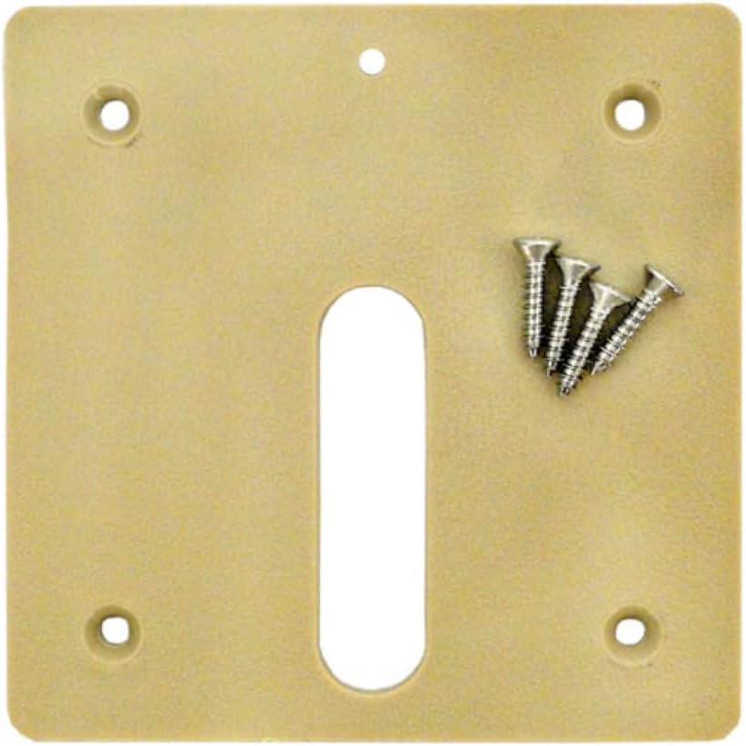 Jandy Beige MiniJet Cover Plate Screws || MJ6330