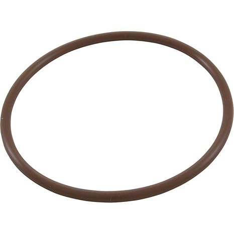 CMP Salt Cell O-Ring for Powerclean Models | 52000-200-101