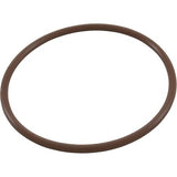 CMP Salt Cell O-Ring for Powerclean Models | 52000-200-101