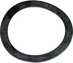 Pentair Gasket 2in Bulkhead | 154538