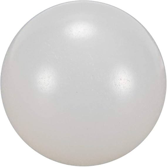 Pentair 1 in. Check Ball || R172435
