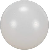 Pentair 1 in. Check Ball || R172435