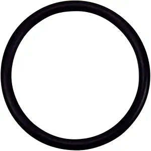 Pentair O-Ring 2-332 Valve Adapter | 274494Z
