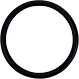 Pentair O-Ring 2-332 Valve Adapter | 274494Z