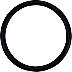 Pentair O-Ring 2-332 Valve Adapter | 274494Z