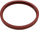 Pentair IntelliBrite Gasket || 620400Z