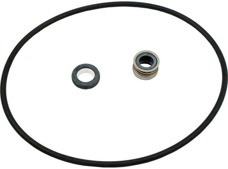 Pentair Max-E-Pro Pump Seal Plate Kit || C203-194P