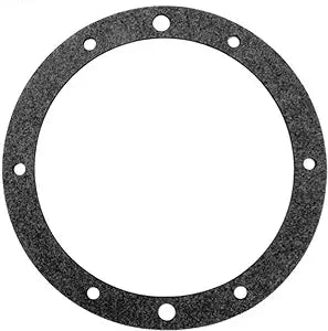 Pentair Vinyl Spa Niche Gasket | 79204600