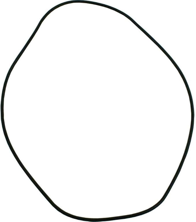 Hayward Header O-Ring | HAXHOR1930