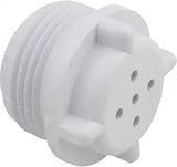 Pentair Valve Check RCF L/Screen | R172406